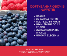 Сортування овочів та фруктів