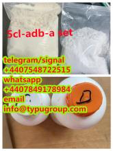 precursor 5cl-adb-a cas 13605-48-6