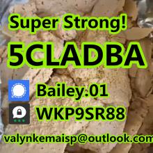 Signal:Bailey.01 ThreeMa:WKP9SR88 Email:valynkemaisp@outlook.com // We have many