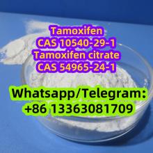 TAMOXIFEN Novaldex Mammaton amoxifen CAS 10540-29-1 CAS 2363-59-9 CAS 54965-24-1