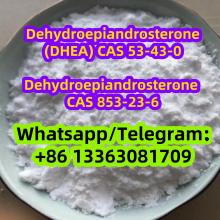 Dehydroepiandrosterone (DHEA) CAS 53-43-0 CAS 853-23-6