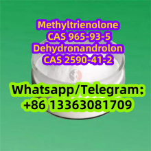 Methyltrienolone CAS 965-93-5 Dehydronandrolone CAS 2590-41-2