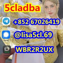 5CL-ADBA Strongest Research Chemical 5cl Precursor 5cladba From Factory