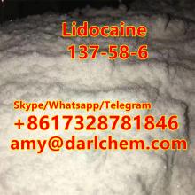 Factory Supply  Raw Purity Lidocaine Powder 137-58-6