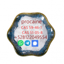 Supply procaine hcl cas 59-46-1 cas 51-05-8 WhatsApp/telegram/signal +5281220495