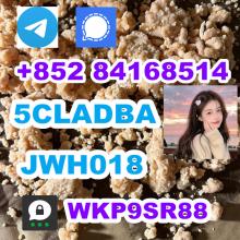 free sample 5CLADBA 5CL-ADB-A 5cladb vendor on sale now