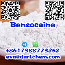 Chemical Best Quality and High Purity CAS 62-44-2 Phenacetin powder Ethyl Ester