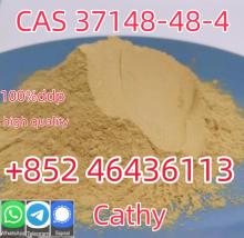 Factory supply  CAS 37148-48-4 4-Amino-3,5-dichloroacetophenone