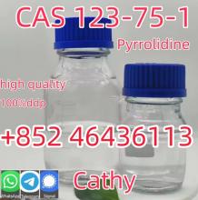 Cas 123-75-1 Pyrrolidine With Factory Price Safe Transportation Provide Pyrrolid