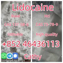 High Quality API Local Lidocaine Powder CAS 137-58-6