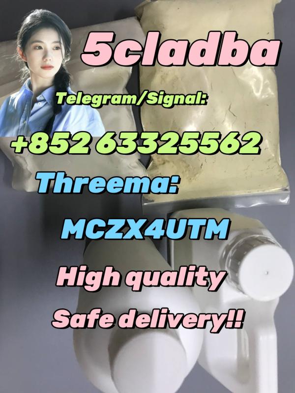 5c 5F 5c 5c Reliable Supplier