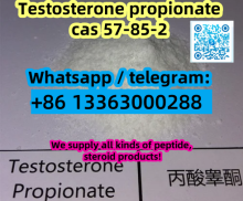 Testosterone propionate cas 57-85-2