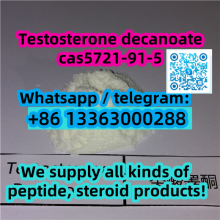 Testosterone decanoate cas 5721-91-5