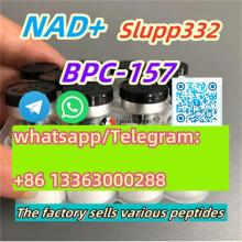 Bpc157 cas 137525-51-0