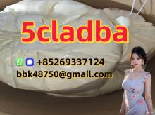 5CL-ADB-A   5CLADBA   5F-ADB   APCP   A-PHP   Protonitazene   Brazilian   Eutylo