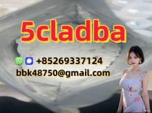 5CL-ADB-A   5CLADBA   5F-ADB   APCP   A-PHP   Protonitazene   Brazilian   Eutylo