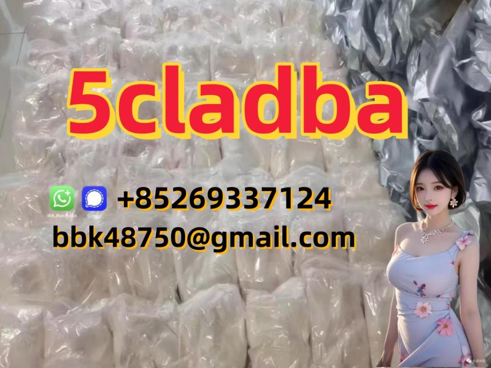 5CL-ADB-A   5CLADBA   5F-ADB   APCP   A-PHP   Protonitazene   Brazilian   Eutylo