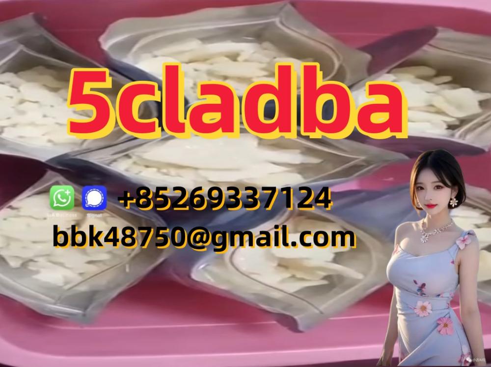 5CL-ADB-A   5CLADBA   5F-ADB   APCP   A-PHP   Protonitazene   Brazilian   Eutylo