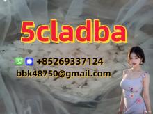 5CL-ADB-A   5CLADBA   5F-ADB   APCP   A-PHP   Protonitazene   Brazilian   Eutylo