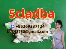 5CL-ADB-A   5CLADBA   5F-ADB   APCP   A-PHP   Protonitazene   Brazilian   Eutylo
