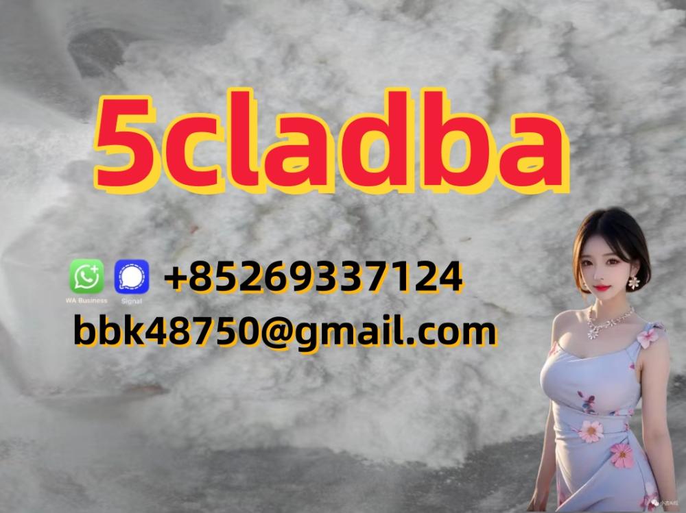 5CL-ADB-A   5CLADBA   5F-ADB   APCP   A-PHP   Protonitazene   Brazilian   Eutylo