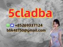 5CL-ADB-A   5CLADBA   5F-ADB   APCP   A-PHP   Protonitazene   Brazilian   Eutylo