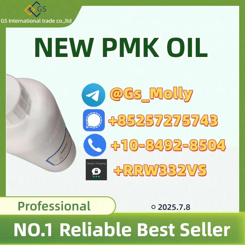 New PMK Oil (CAS 13605-48-6) - Reliable Global Supplier
