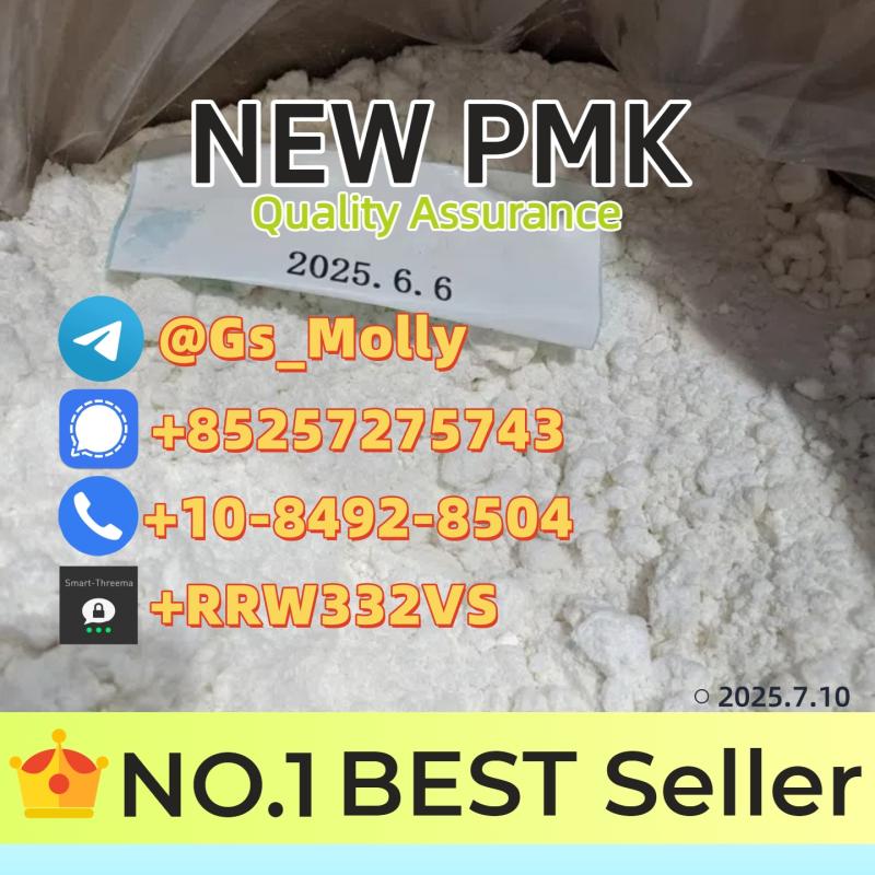 China Top PMK Supplier | CAS 28578-16-7 | OEM Services Available