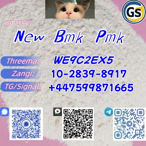 New Pmk Powder C.A.S 28578-16-7 C.A.S 52190-28-0 /4676-39-5 /2050-07-9