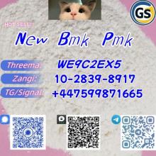 New Pmk Powder C.A.S 28578-16-7 C.A.S 52190-28-0 /4676-39-5 /2050-07-9