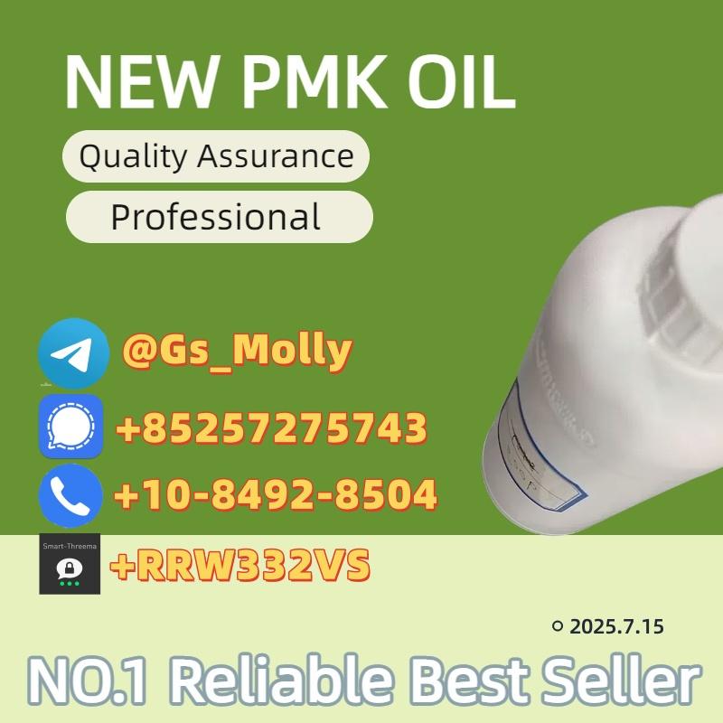 New PMK Oil (CAS 28578-16-7) - Reliable Global Supplier