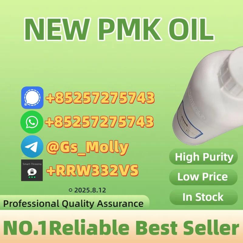 Pure P M K Oil CAS 28578-16-7 Verified Purity | Trusted Global Supplier