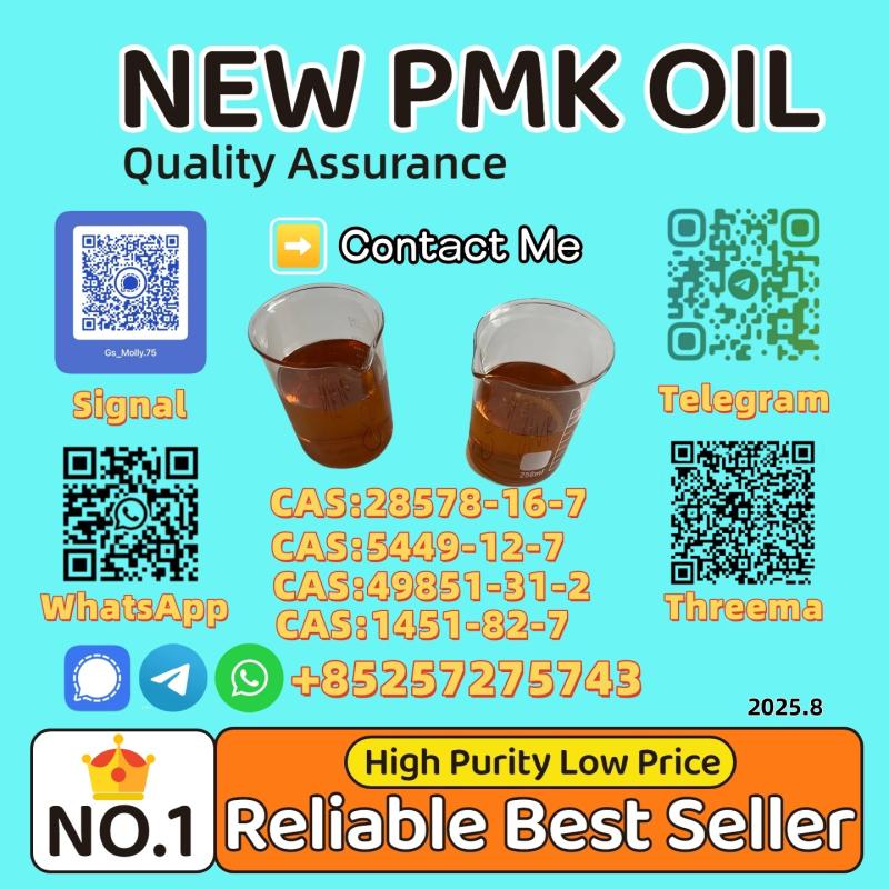 Reliable Supplier New P.M.K Oil 28578-16-7/5413-05-8/20320-59-6
