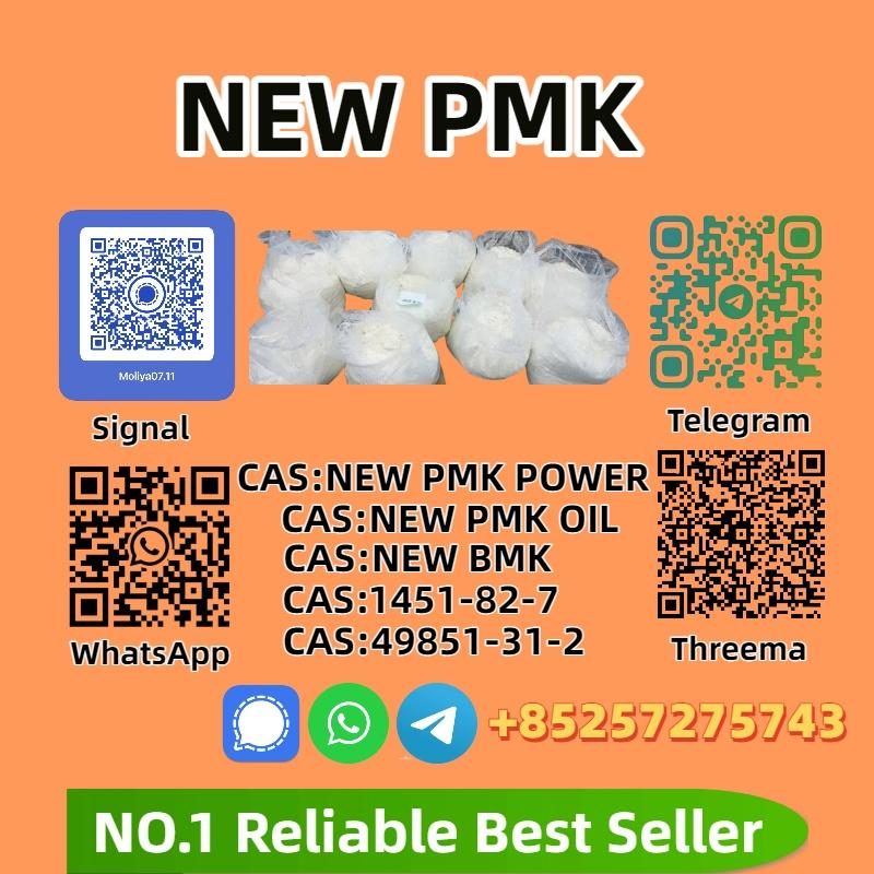 P.M.K G.lycidate P.owder 28578-16-7 | High Purity | Bulk Supplier