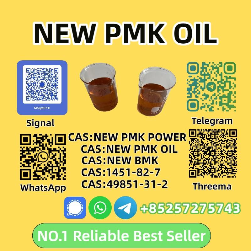 High Purity P.M.K Oil 28578-16-7 Premium Quality for Synthesis