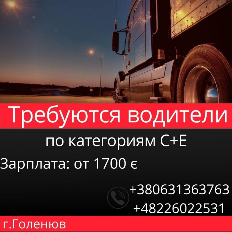 Дальнобойщик международных перевозок
