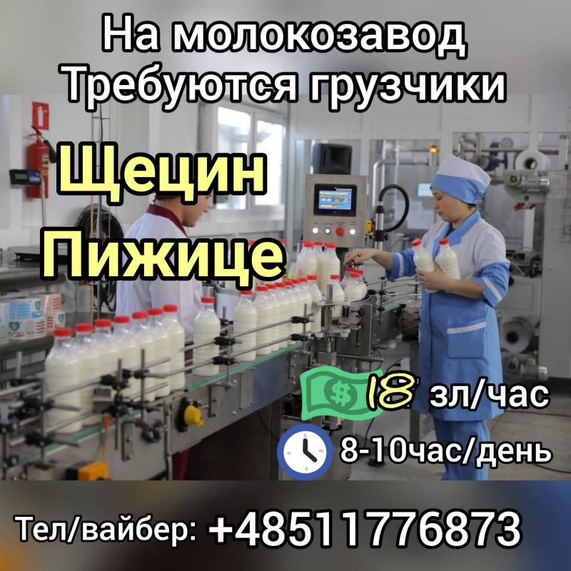 Грузчик