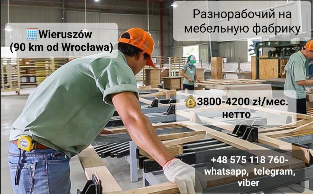 Рабочие на мебельное производство недалеко от Вроцлава