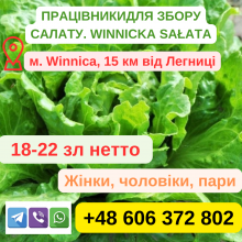 Працівник на збір салату (сезонна робота)