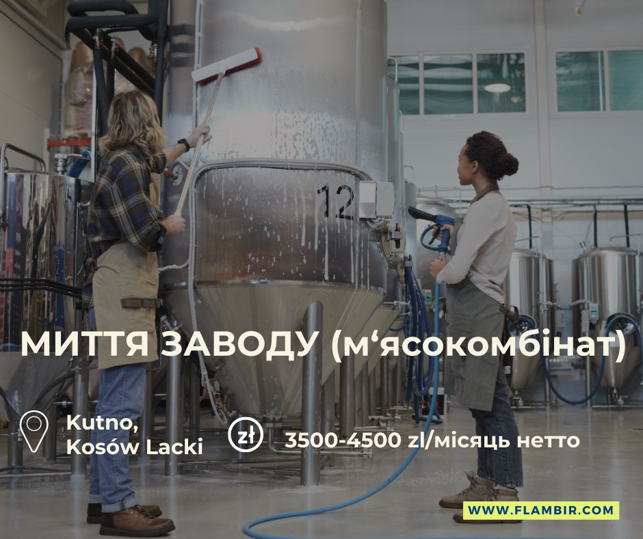 Миття заводу!